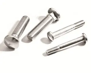 Mushroom head square neck bolt DIN603